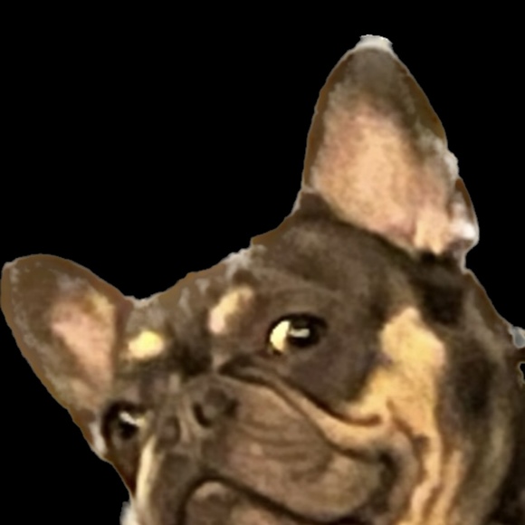 Meet your Posher, Posh - Picture 1 of 1